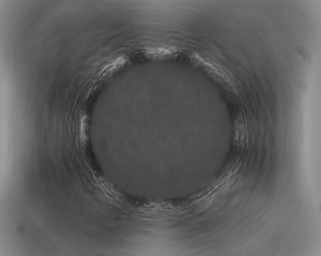 X0000115481346200911061209