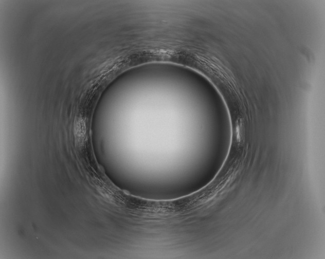 X0000115481347200911061209
