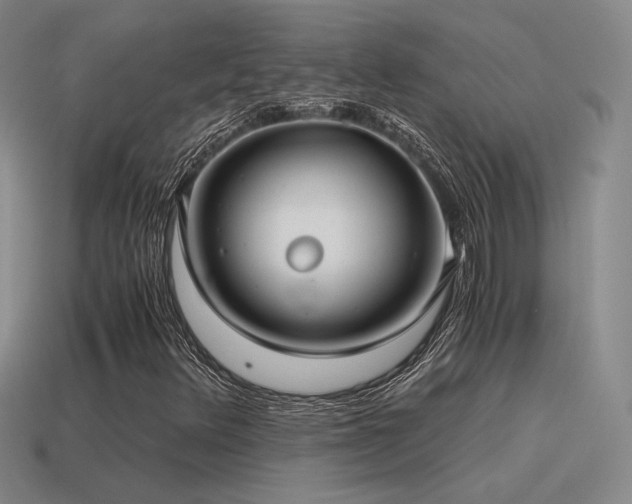 X0000115481348200911061209