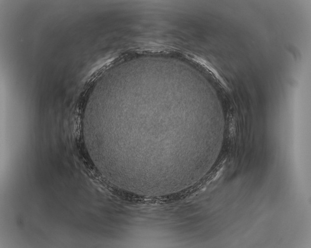X0000115481350200911061209