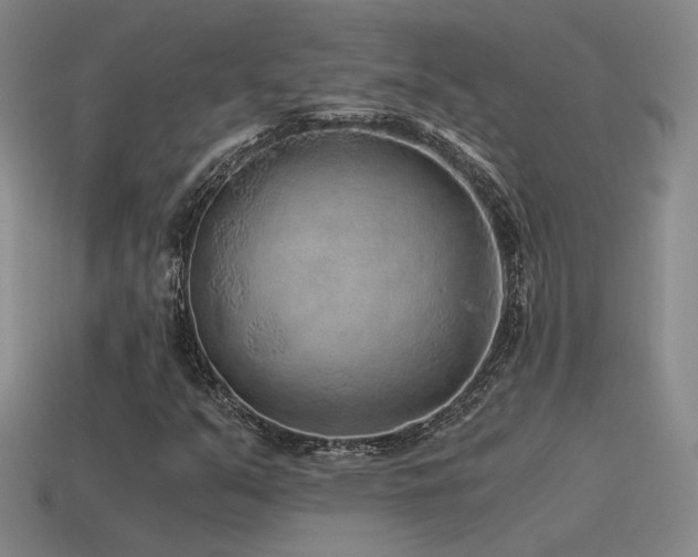 X0000115481351200911061209