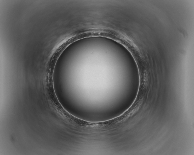 X0000115481352200911061209