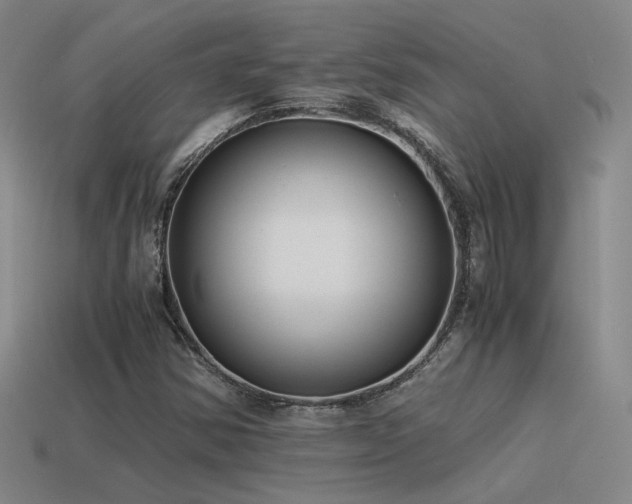 X0000115481354200911061209