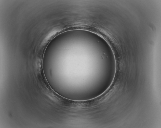 X0000115481355200911061209