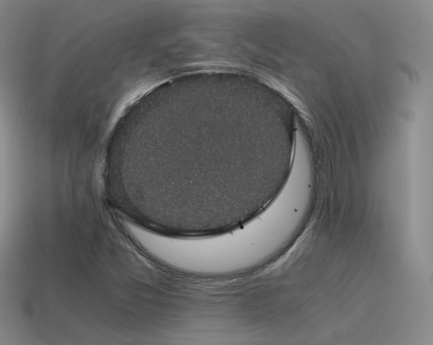 X0000115481357200911061209