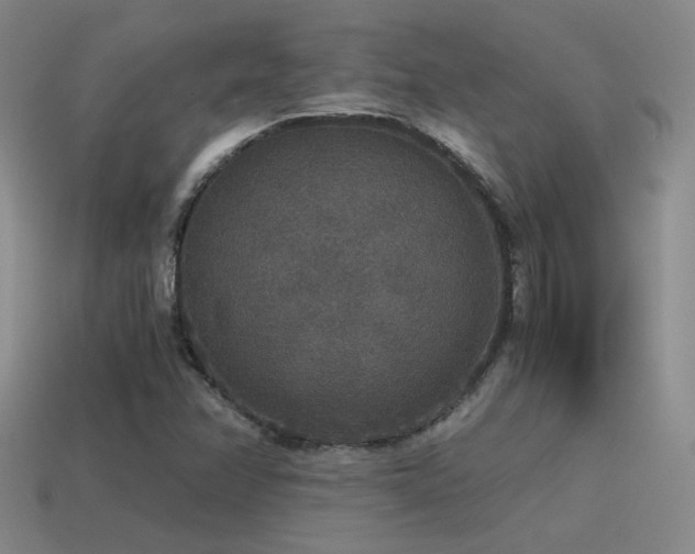 X0000115481358200911061209