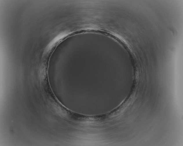 X0000115481359200911061209