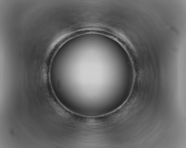 X0000115481360200911061209