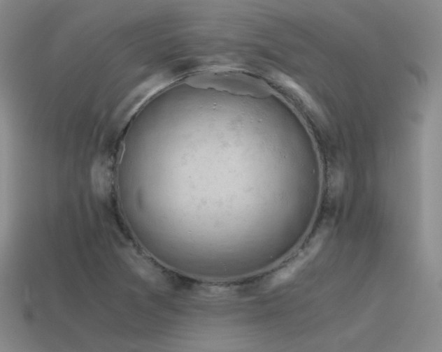 X0000115481361200911061209