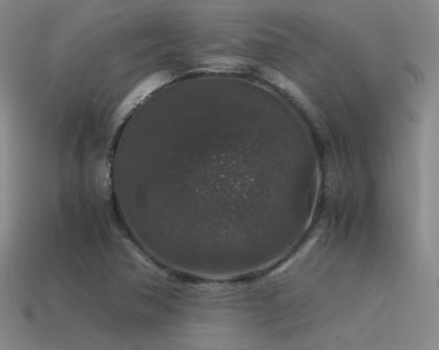 X0000115481362200911061209