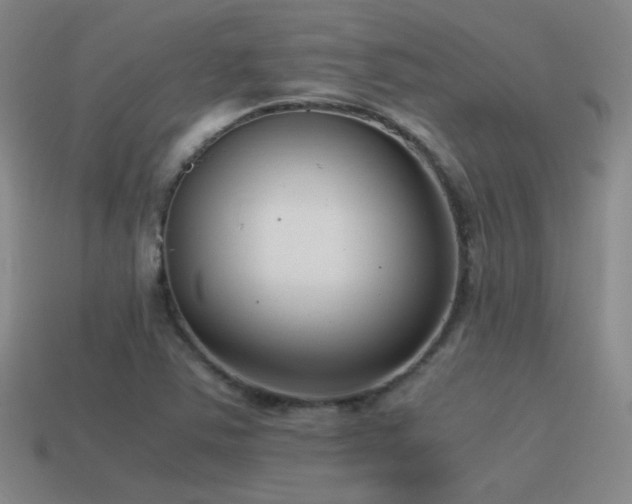 X0000115481363200911061209