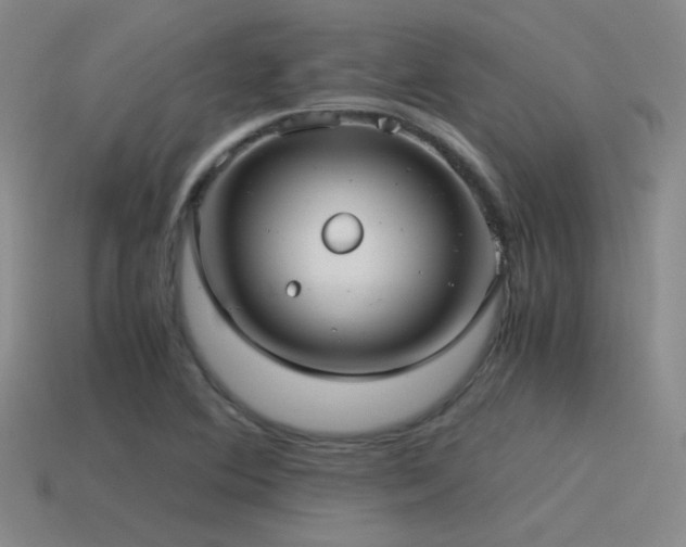 X0000115481364200911061209