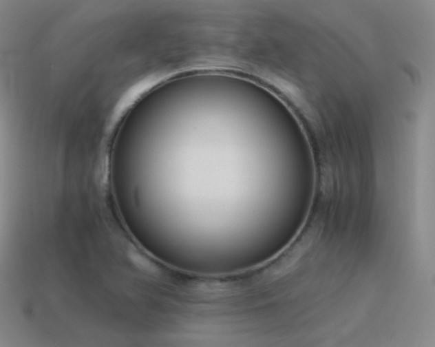 X0000115481366200911061209