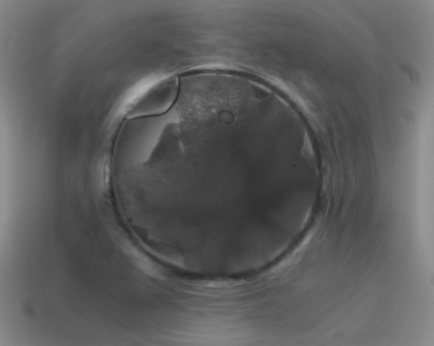 X0000115481367200911061209