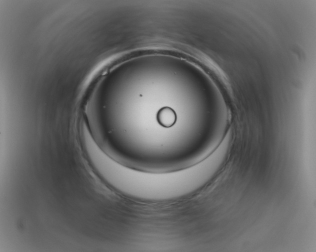 X0000115481368200911061209