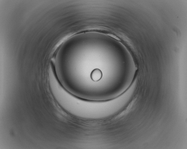 X0000115481369200911061209