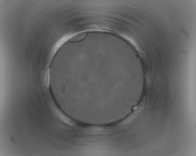 X0000115481371200911061209