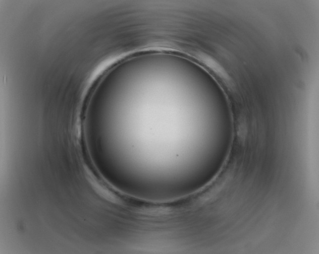 X0000115481372200911061209