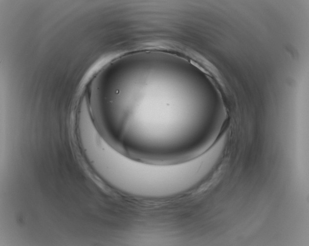 X0000115481373200911061209