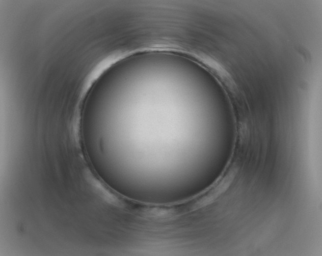 X0000115481374200911061209