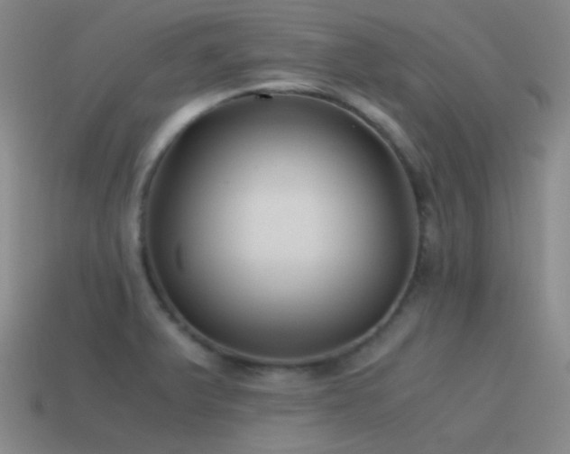 X0000115481375200911061209
