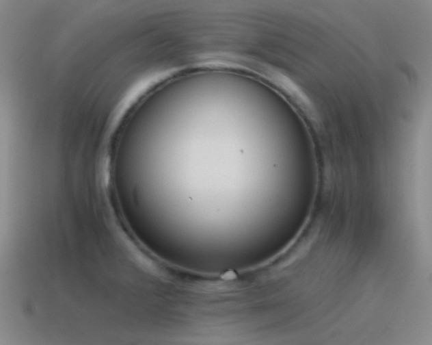 X0000115481376200911061209