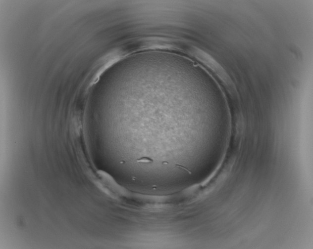 X0000115481377200911061209