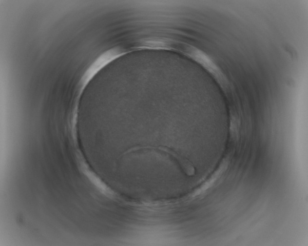 X0000115481378200911061209