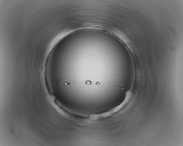 X0000115481379200911061209