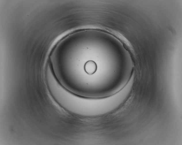 X0000115481380200911061209