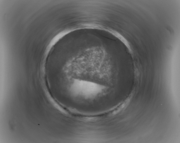 X0000115481381200911061209