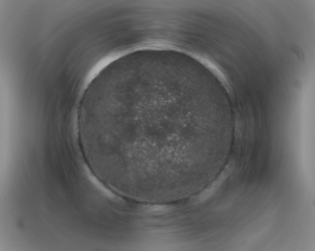 X0000115481382200911061209