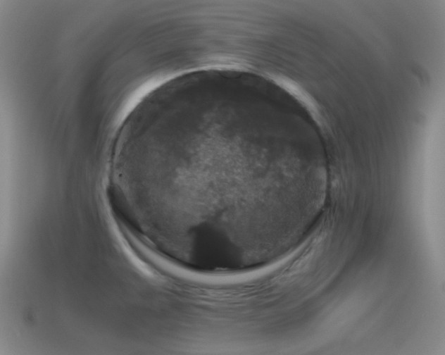 X0000115481383200911061209