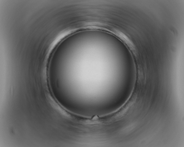 X0000115481384200911061209