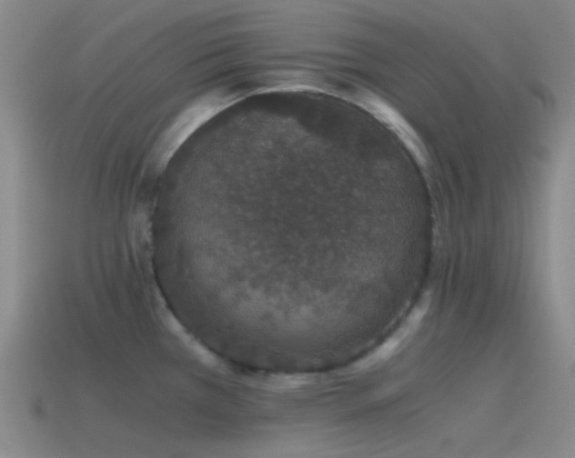 X0000115481385200911061209