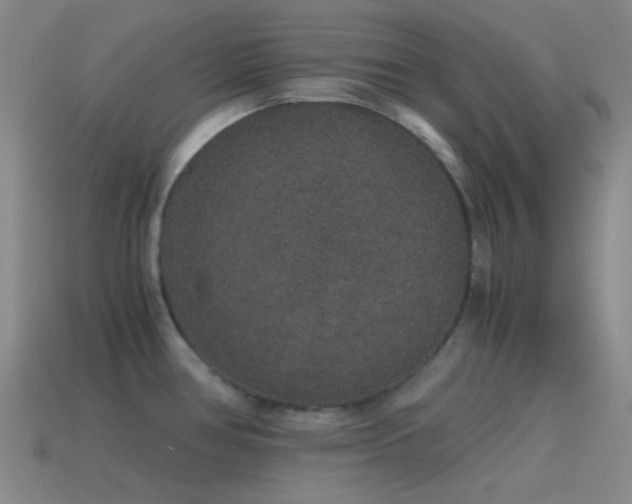 X0000115481386200911061209