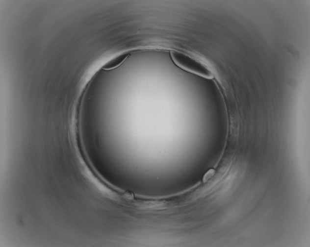 X0000115481387200911061209