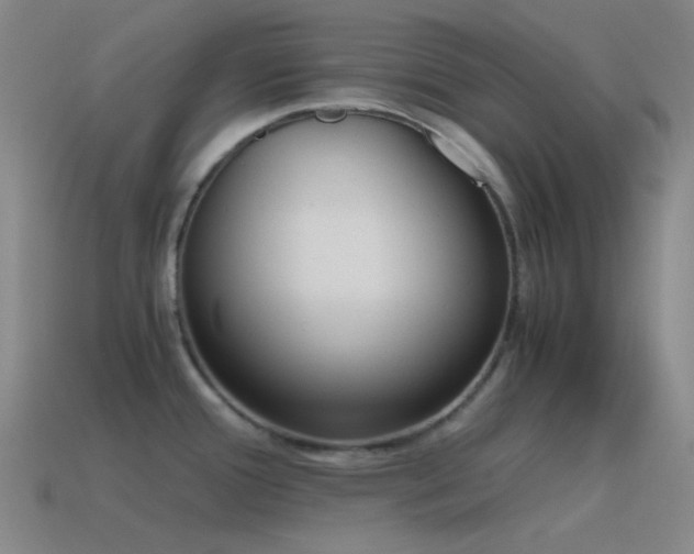 X0000115481388200911061209