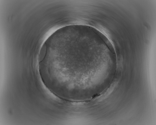 X0000115481389200911061209