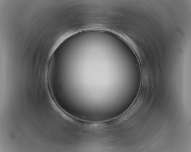 X0000115481390200911061209