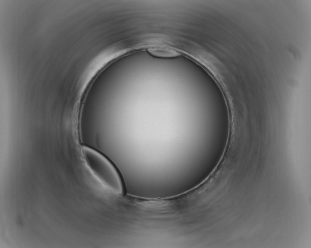 X0000115481392200911061209
