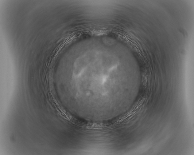 X0000115481393200911061208