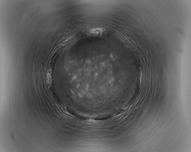 X0000115481394200911061208
