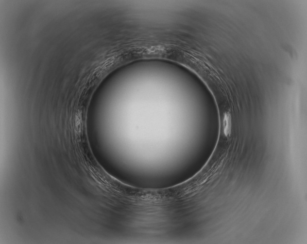 X0000115481395200911061208