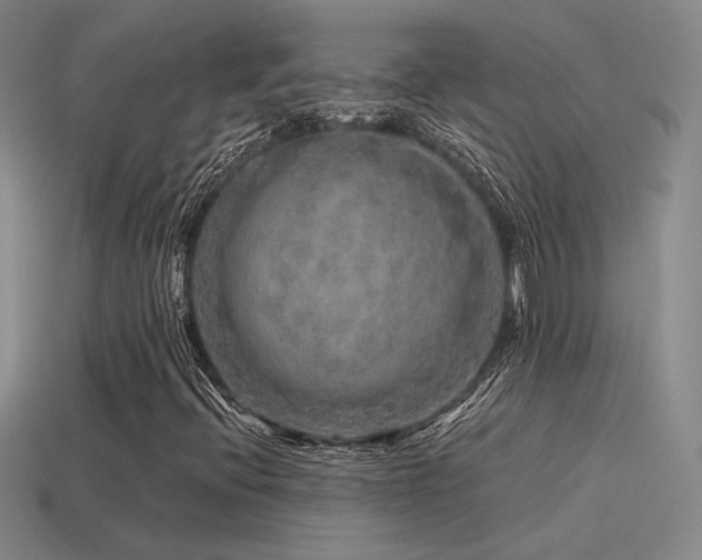 X0000115481396200911061208