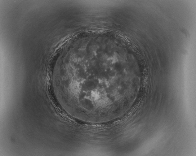 X0000115481397200911061208