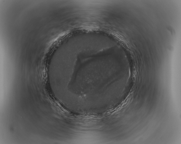 X0000115481398200911061208