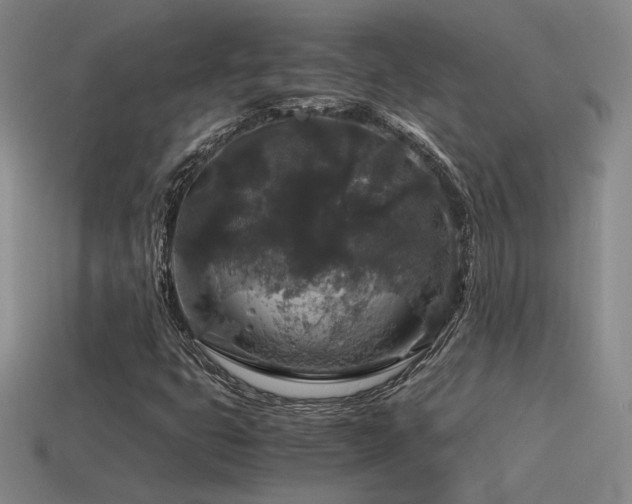 X0000115481399200911061208