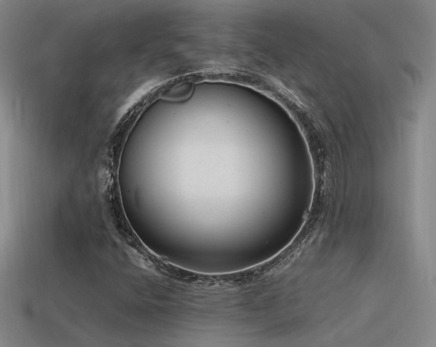 X0000115481400200911061208
