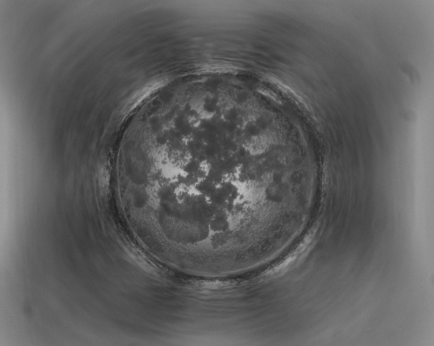 X0000115481401200911061208